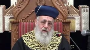 מה יצא ממך פוסק הלכות