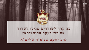 מה קרה לשודדים שניסו