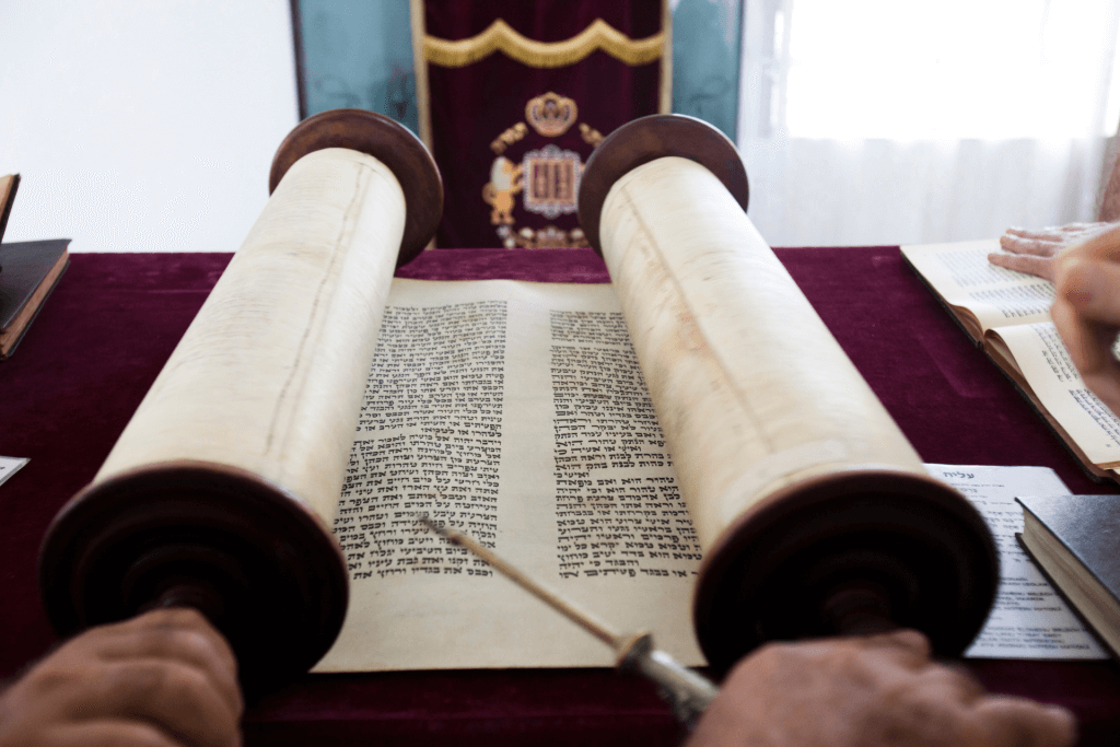 כיצד ינהגו ציבור שטעו